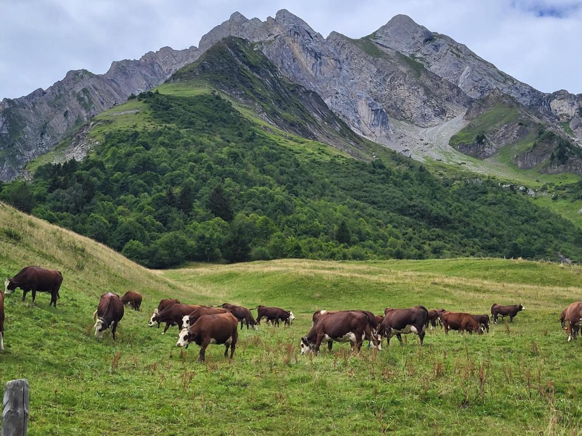 La Petite Anfiane Villa Le Grand-Bornand Exteriör bild